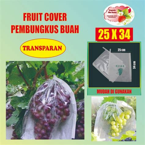 Jual Fruit Cover Brongsong Buah Transparan X Shopee Indonesia