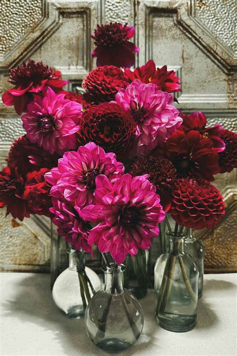 10 Beautiful DIY Dahlia flower Arrangement or bouquet ideas