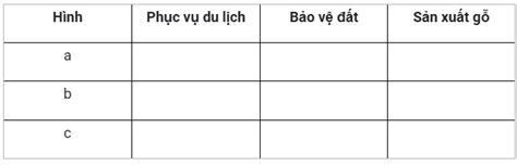 Quan Sát Các Hình ảnh Và đánh Dấu ٧ Vào Cột ứng Với Vai Trò Của Rừng