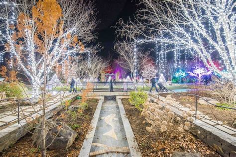 Winter Lights The North Carolina Arboretum