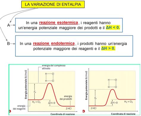 Mappa Concettuale Variazione Di Entalpia Nella Reazione Dsa Study Maps