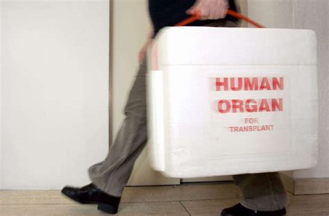 Deutsche Stiftung Organtransplantation Zahl Der Organspenden In