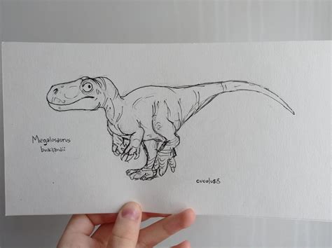 the pen drawing of megalosaurus for my friend! : r/Paleoart