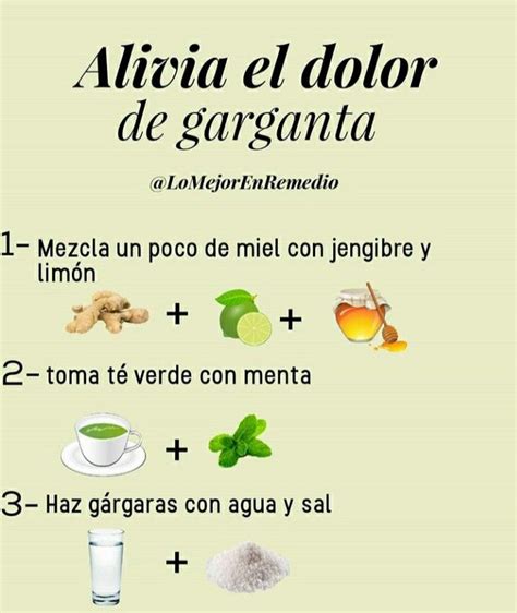 Arriba Imagen Receta De Plantas Medicinales Para La Tos Abzlocal Mx