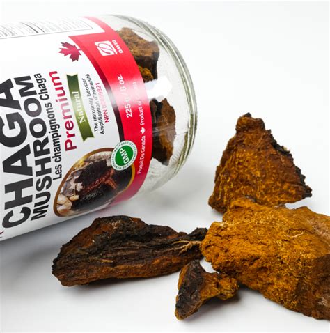 Nutridom Chaga Mushroom Chunk G Oz