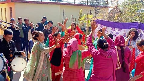 Pahari Band Baje Wedding Dance Desi Dance Himachali Culture