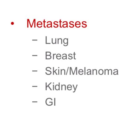 Lecture Neoplasms Of The Nervous System Flashcards Quizlet