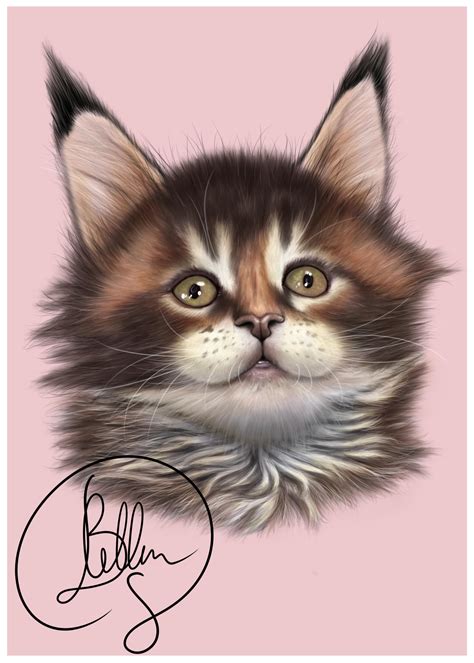 Mainecoon Portrait By Soniabelliniart On Deviantart