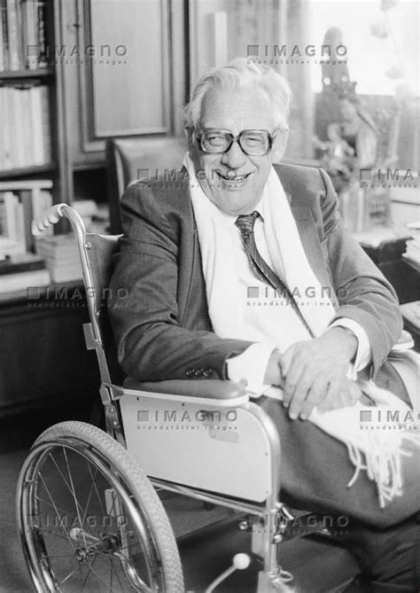 erwin ringel alchetron   social encyclopedia