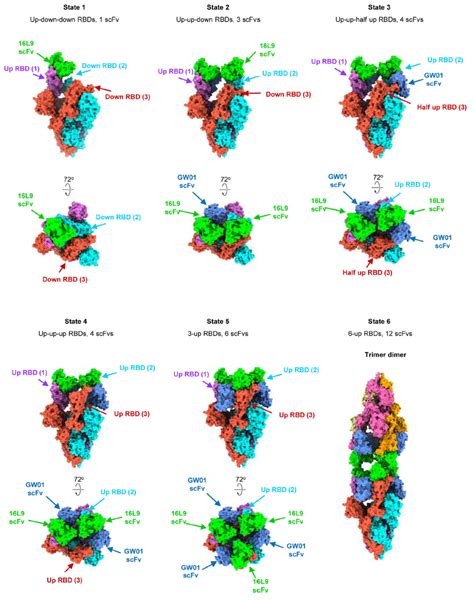 Cell Discov