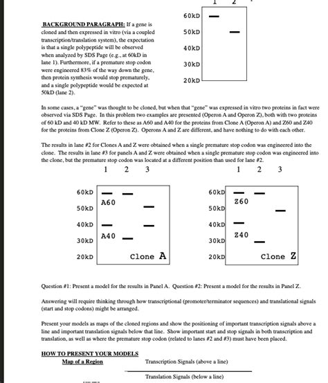 Solved BACKGROUND PARAGRAPH: If a gene is cloned and then | Chegg.com 