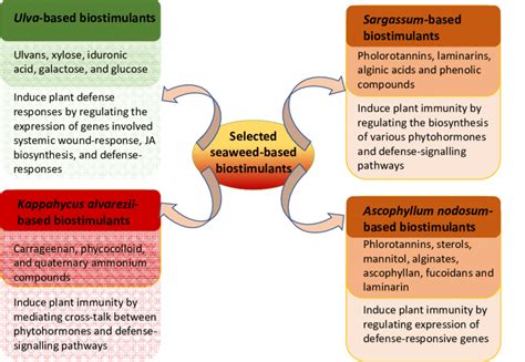 Bioactive Components Present In Various Seaweed Extracts And Plausible