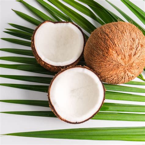 Ingredient Spotlight on Coconut: Cocos Nucifera (Coconut) Fruit Extract ...