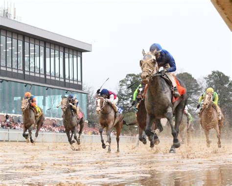 Honeybee Winner Wet Paint Keeping Options Open For Final Oaks Prep Oaklawn Hot Springs Arkansas