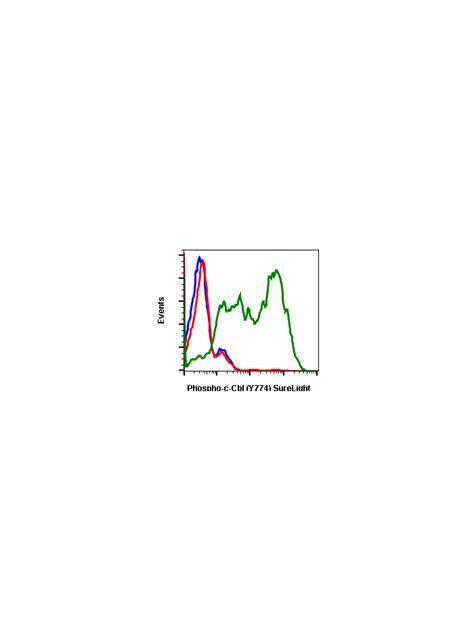 Phospho C Cbl Tyr774 R3B8 Rabbit MAb SureLight488 Conjugate Abwiz Bio