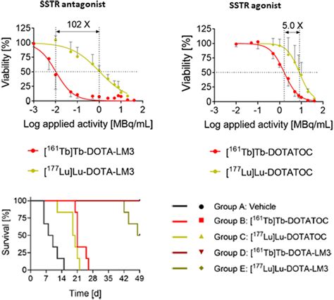 Ar42j Tumor Cell Viability Mtt Assay And Kaplanmeier Plot 2 × 10