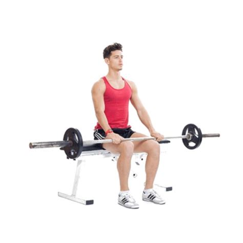 Calf Barbell Calf Raises Seated By Saranyapong T Exercise How To