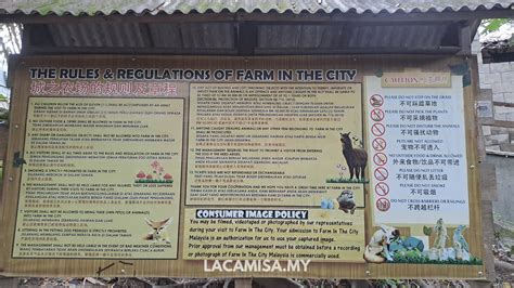 farm   city   overviews   petting zoo
