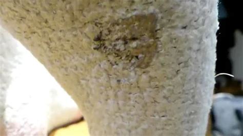 Watch Pov Pov Point Of View Fetish Porn Spankbang