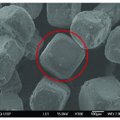 Sample Sem Images Of Typical Morphologies Of Crystals Of A Nacl B