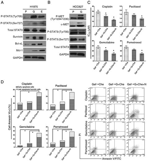 International Journal of Oncology