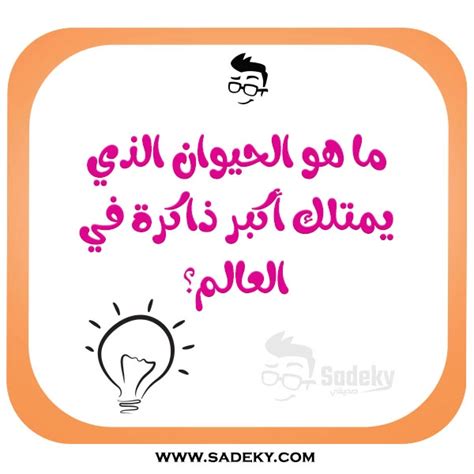 أسئلة عامة للمسابقات واجوبتها أسئلة مسابقات سهلة Sadeky