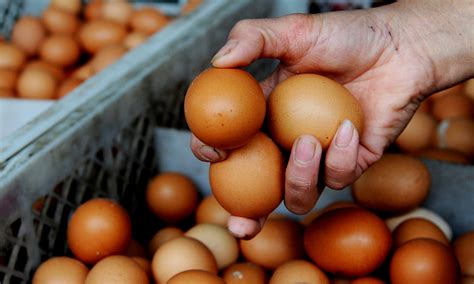 China Has Ample Supply Of Eggs Despite Global Market Shortage In 2023