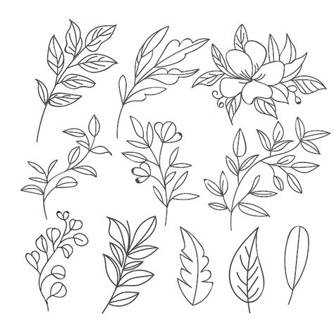 Ensemble De Feuilles Botaniques Doodle Dessin Au Trait De Fleurs