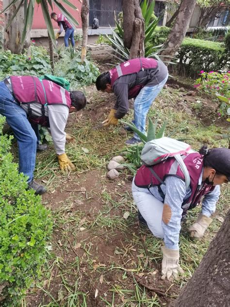 Trabajo Cdmx On Twitter Trabajoentuunidad Vecinas Y Vecinos Llevan A