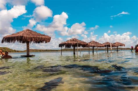 Tambaquis Lagoon Tour From Aracaju Book Online At Civitatis