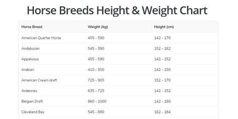 Average weight of a horse - Gegu Pet