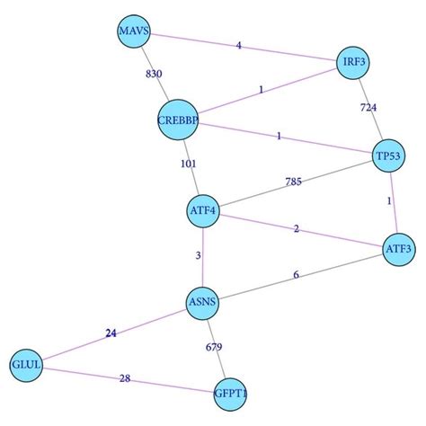 The Diagram Of Signal Propagation Analysis During Cancer Progression Download Scientific