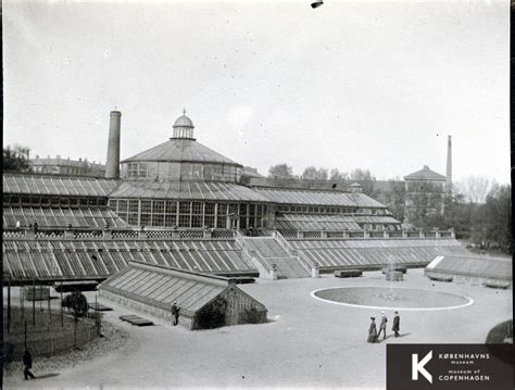 Botanisk Have Kbhbilleder Dk