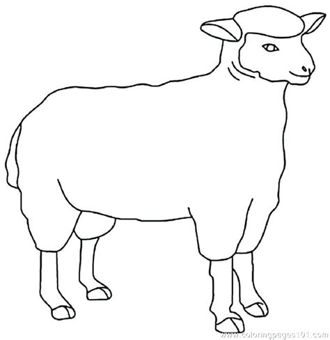 Sheep Outline Drawing At Explore Collection Of