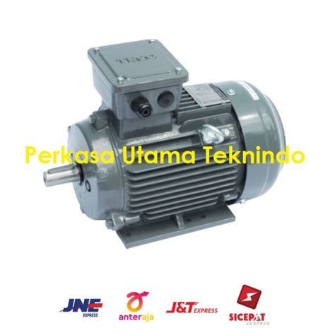 Jual Dinamo Elektro Motor Teco 4 Hp 4 Pole Aesv1s Jakarta Barat