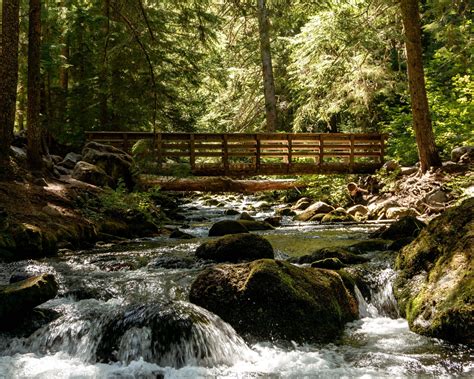 Activities Near Me Best Kid Friendly Activities In NYC With Friends