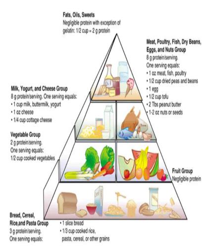 NUTRIENTS PROTEINS FATS AND CARBOHYDRATES PHYSIOLOGICAL IMPORTANCE