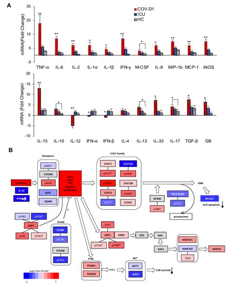 Cytokine Jak Stat Signaling Underlying Covid A Differential