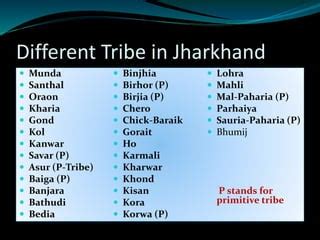 Tribe in jharkhand | PPT | Free Download