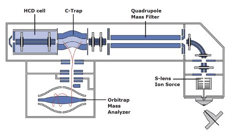 Q Exactiveplus Orbitrap Lc Ms Ms Wur