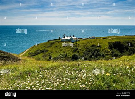 Durlston Head Country Park and lighthouse Stock Photo - Alamy