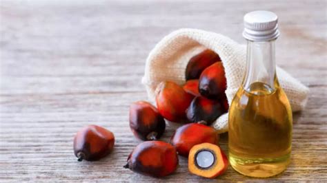 Crude And Refined Palm Oil Increase Duty Difference Between Crude And Refined Palm Oil Asks Sea