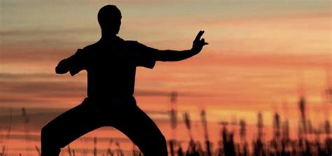 Qigong Healing Techniques Star Magic