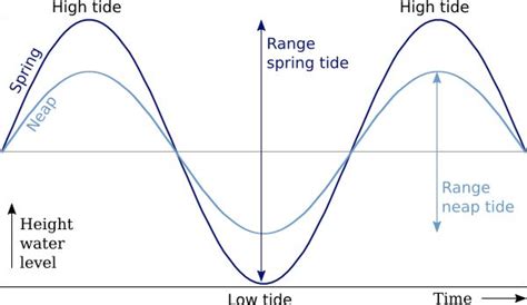 Learn Greek The Best Way Diagrams Neap Tides Learn Greek Spring Tide