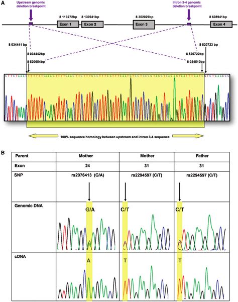 Genomic DNA And Complementary DNA Sequencing Results A Definition Of