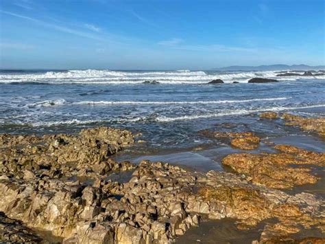 Pescadero State Beach: Everything You Need to Know