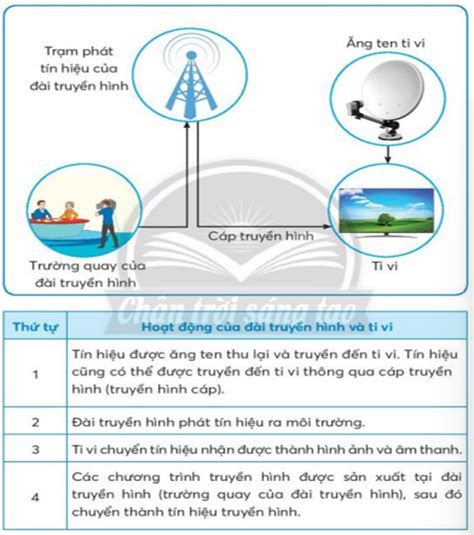 Quan sát các hình vẽ trong sơ đồ dưới đây để sắp xếp đúng thứ tự hoạt