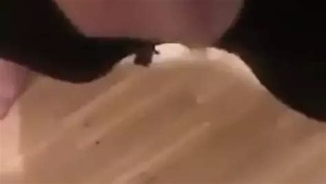 Wer Will Mal Wer Will Mal Free HD Videos Porn E1 XHamster