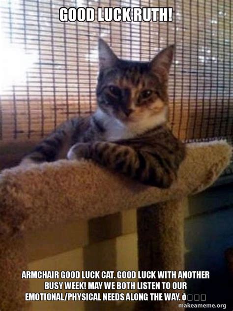 good luck ruth armchair good luck cat good luck   busy