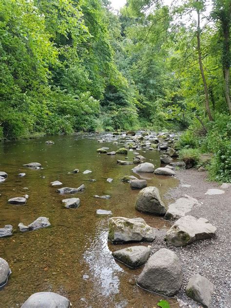 Water Of Leith Spylaw Park Edinburgh Scenery Water Travel Around